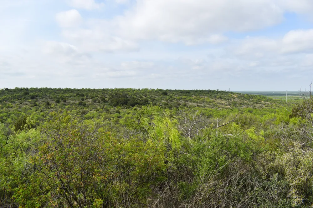 3408 CR 312 Voss, TX 76888