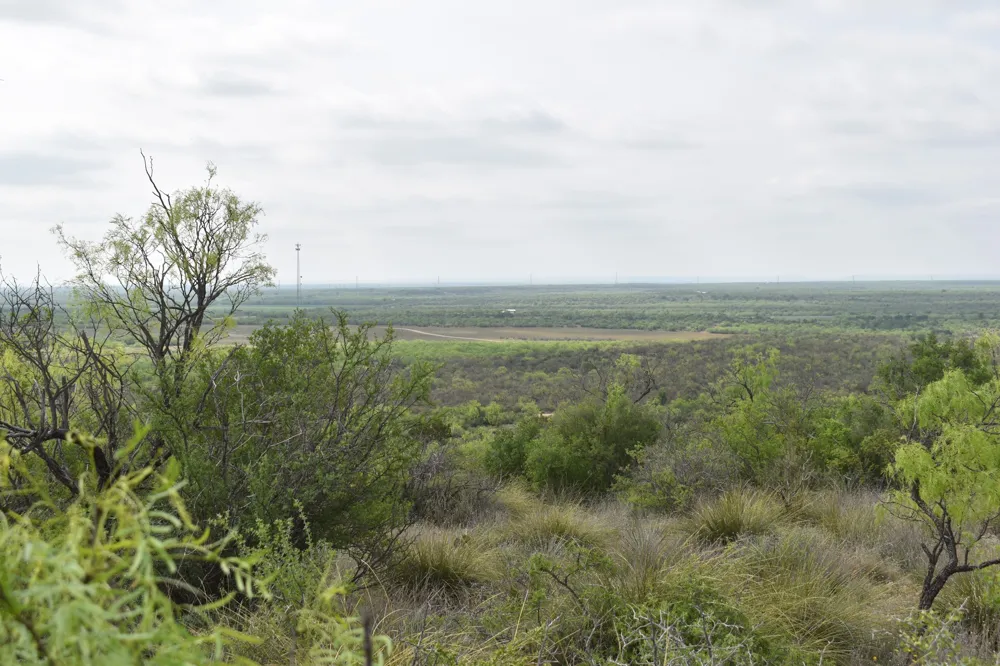3408 CR 312 Voss, TX 76888