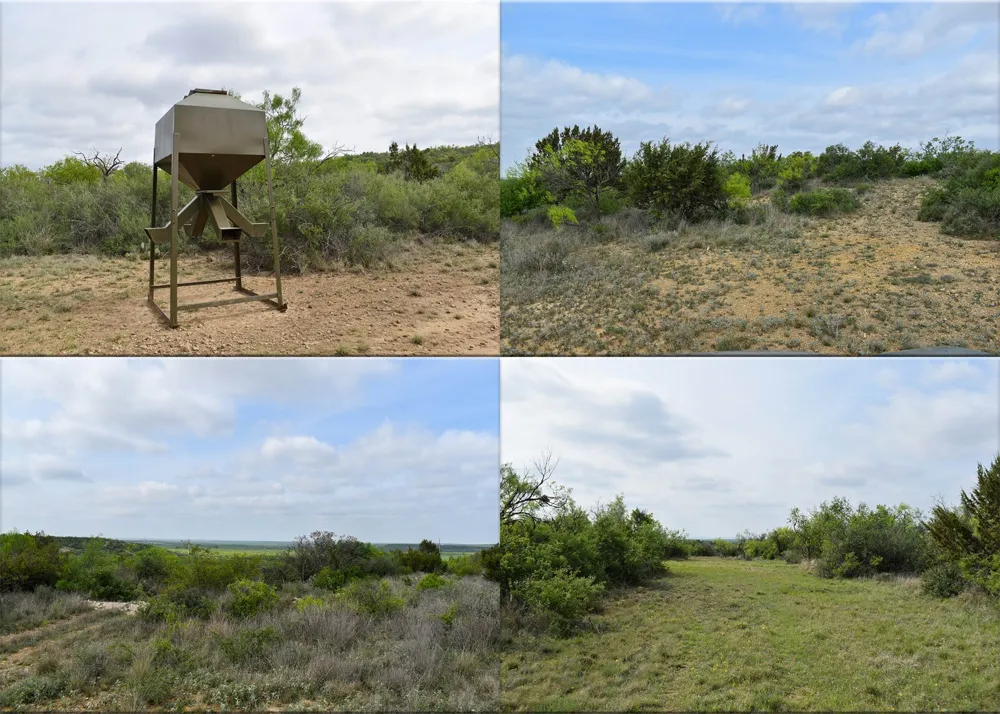 3408 CR 312 Voss, TX 76888