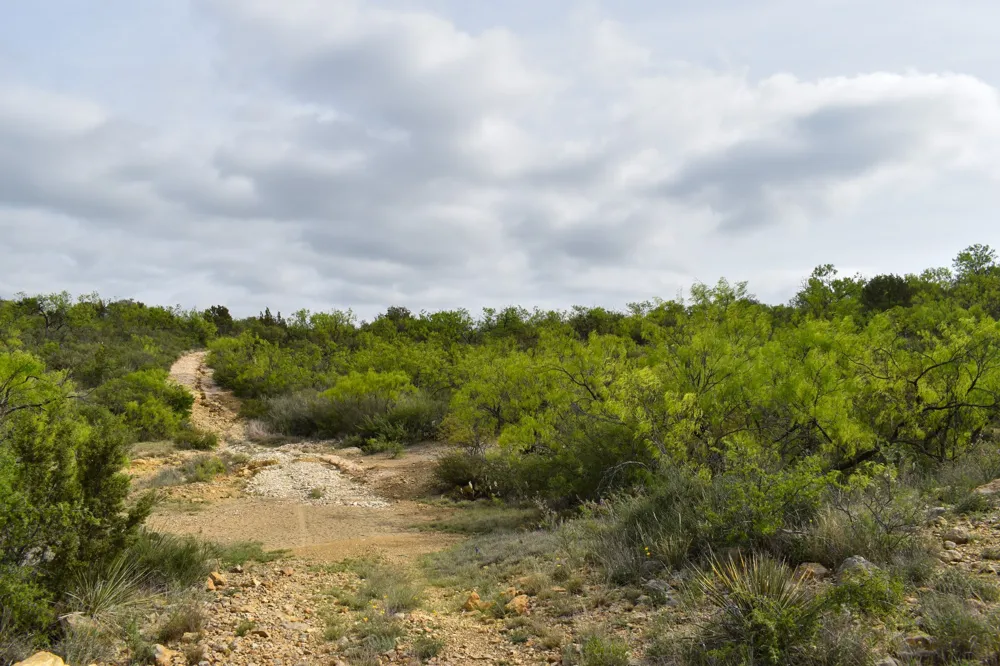 3408 CR 312 Voss, TX 76888
