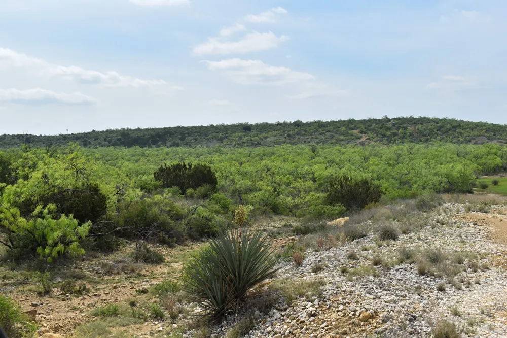 3408 CR 312 Voss, TX 76888