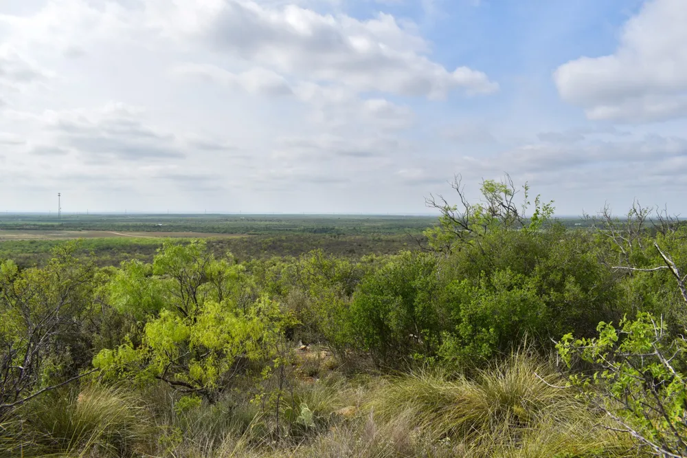 3408 CR 312 Voss, TX 76888