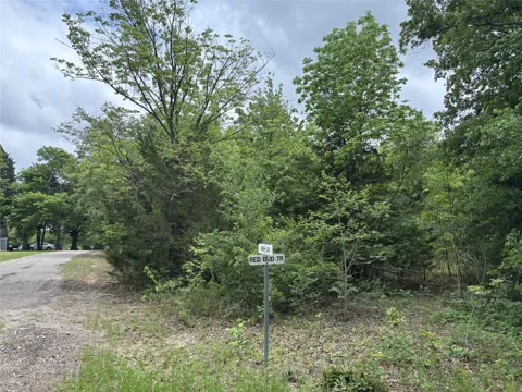 Red Bud Trail