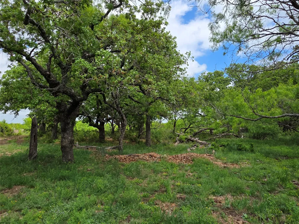 1200 E Fm 2273 May, TX 76857