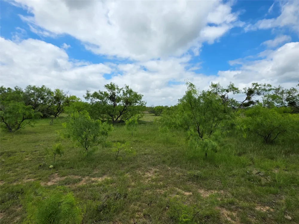 1200 E Fm 2273 May, TX 76857