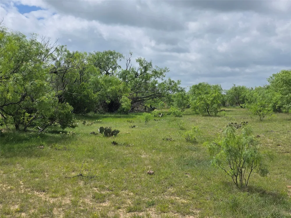 1200 E Fm 2273 May, TX 76857
