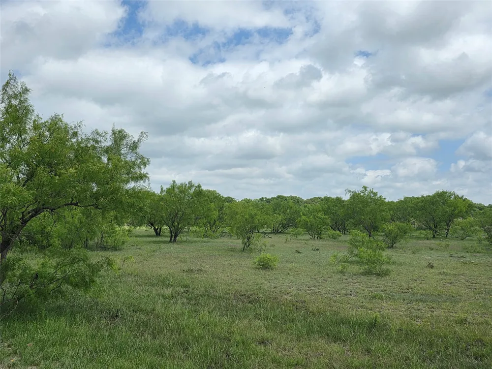 1200 E Fm 2273 May, TX 76857