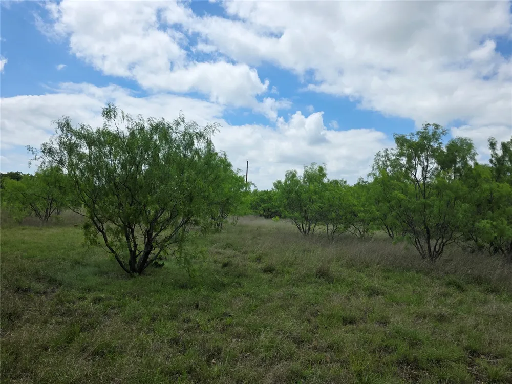 1200 E Fm 2273 May, TX 76857