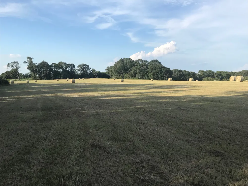 321 Private Road 6815 Eustace, TX 75124