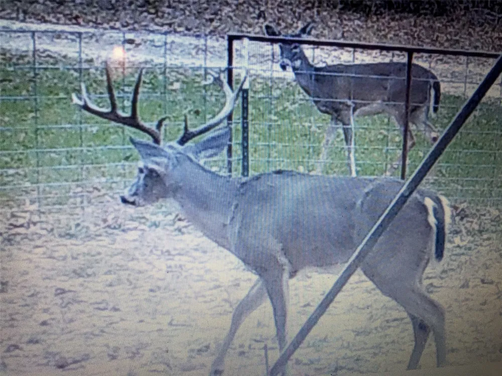 321 Private Road 6815 Eustace, TX 75124