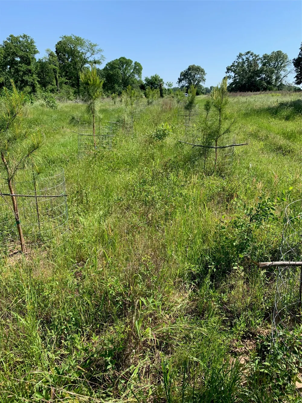 321 Private Road 6815 Eustace, TX 75124