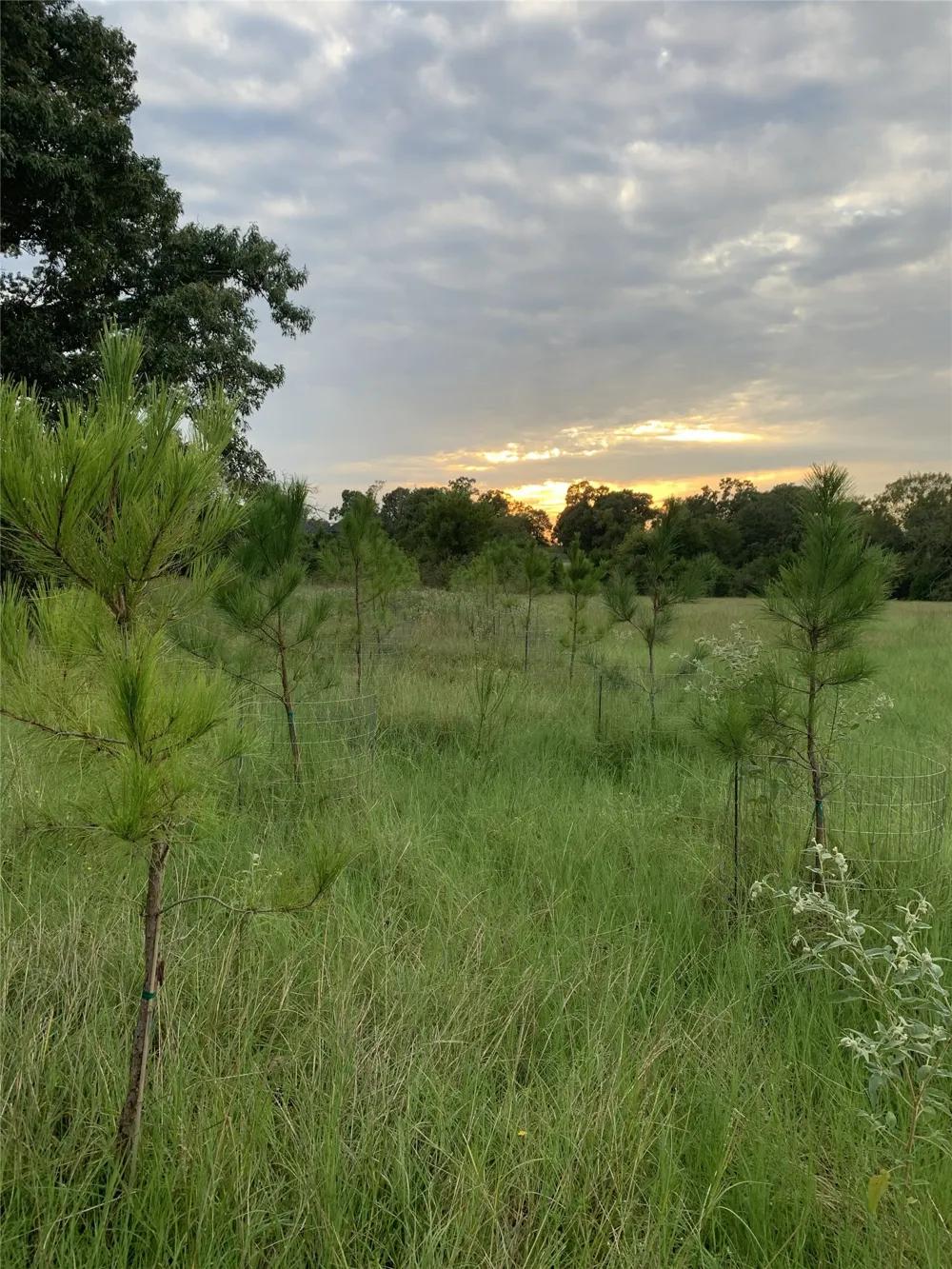 321 Private Road 6815 Eustace, TX 75124