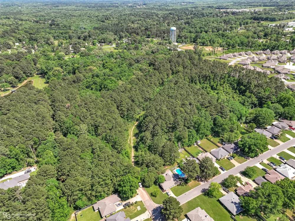 Hollow Bluff Drive Haughton, LA 71037