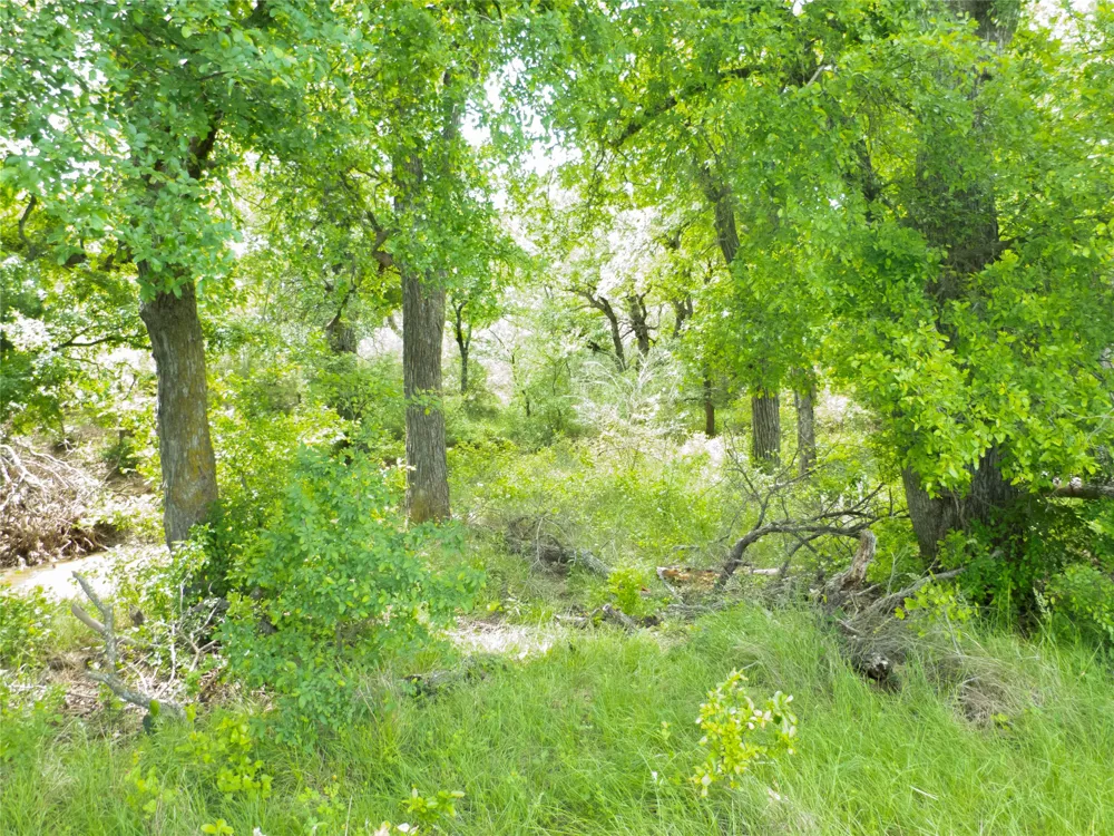 COUNTY ROAD 165 Early, TX 76802
