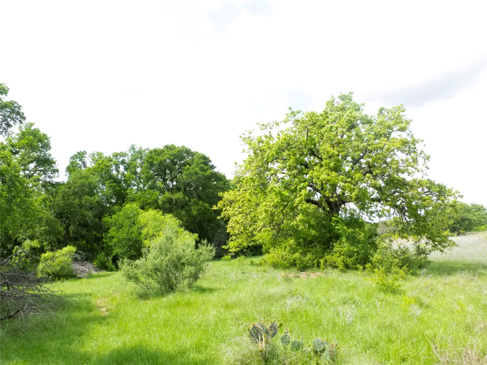 COUNTY ROAD 165 Early, TX 76802