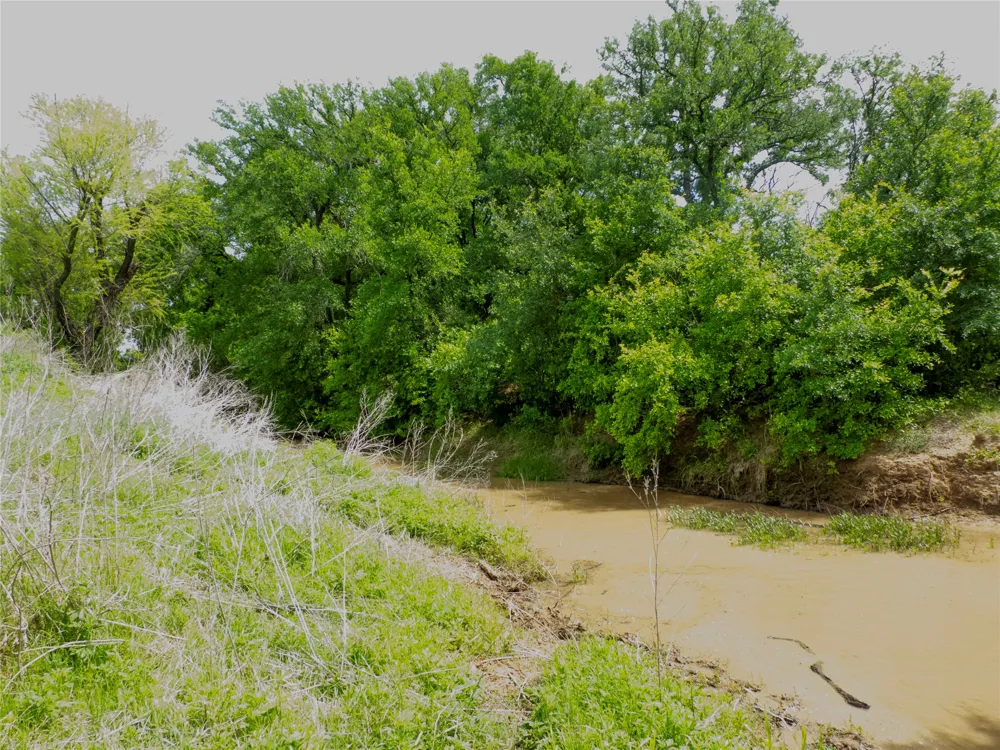COUNTY ROAD 165 Early, TX 76802