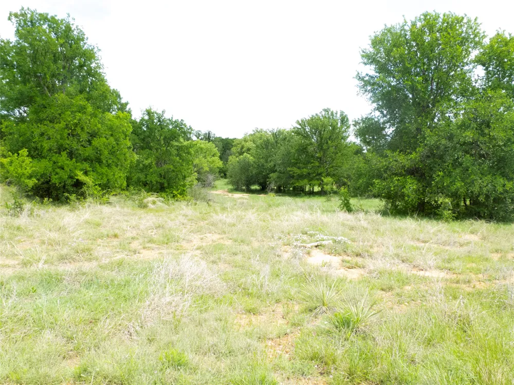 COUNTY ROAD 165 Early, TX 76802