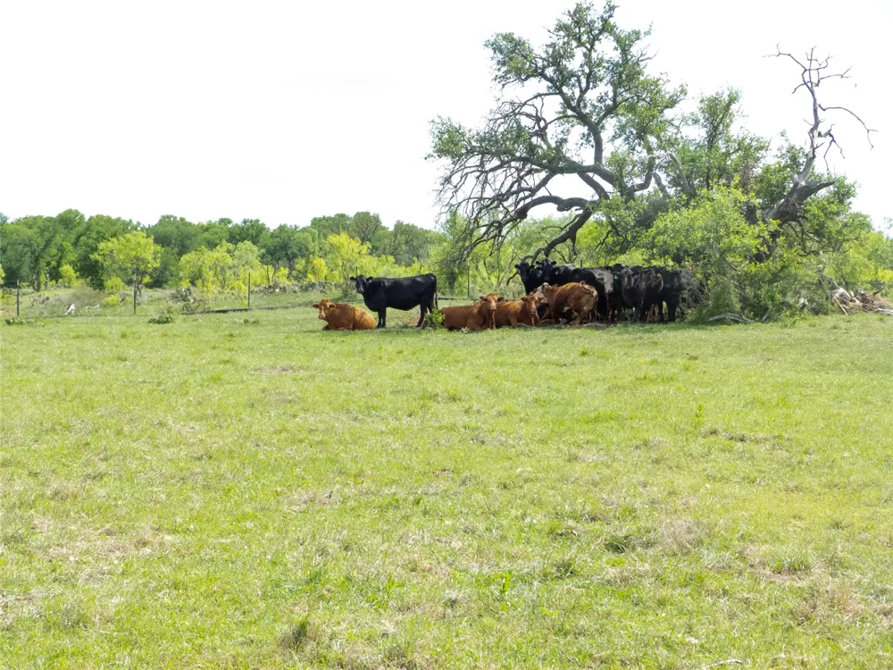 6500 Fm 586 Bangs, TX 76823