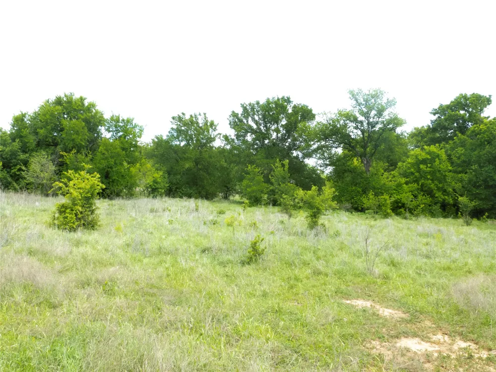 6500 Fm 586 Bangs, TX 76823