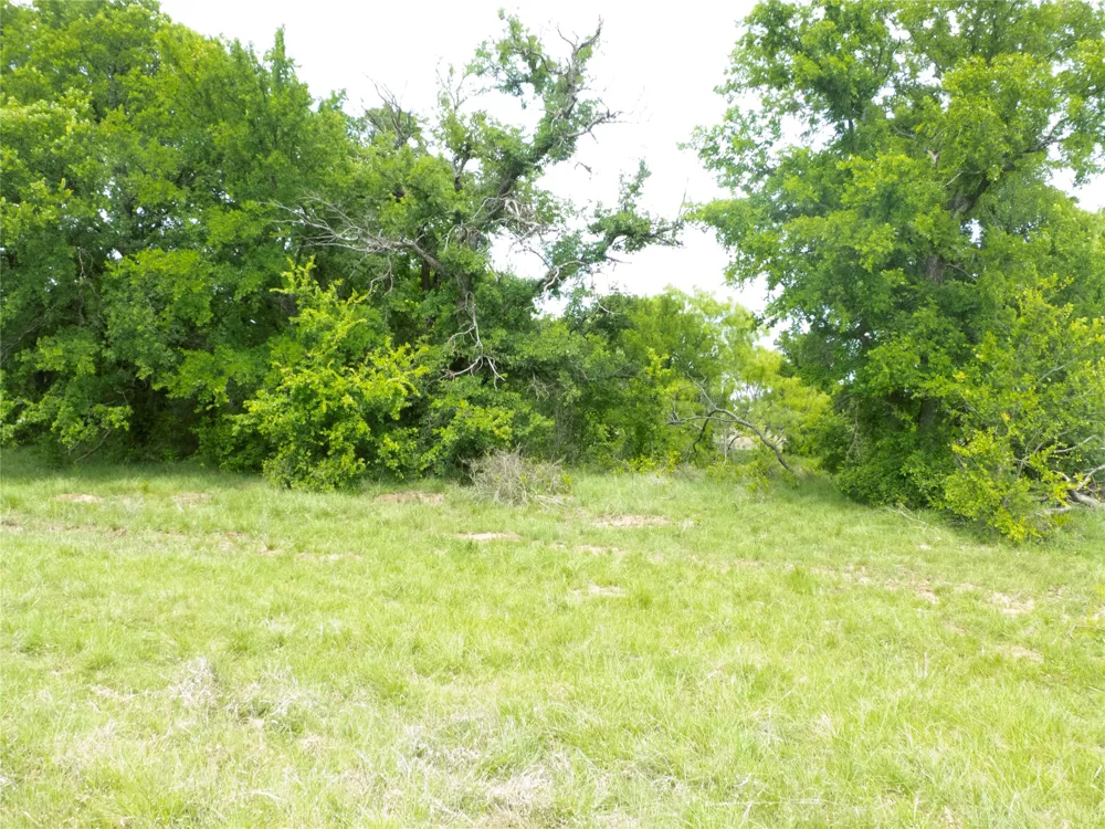 6500 Fm 586 Bangs, TX 76823