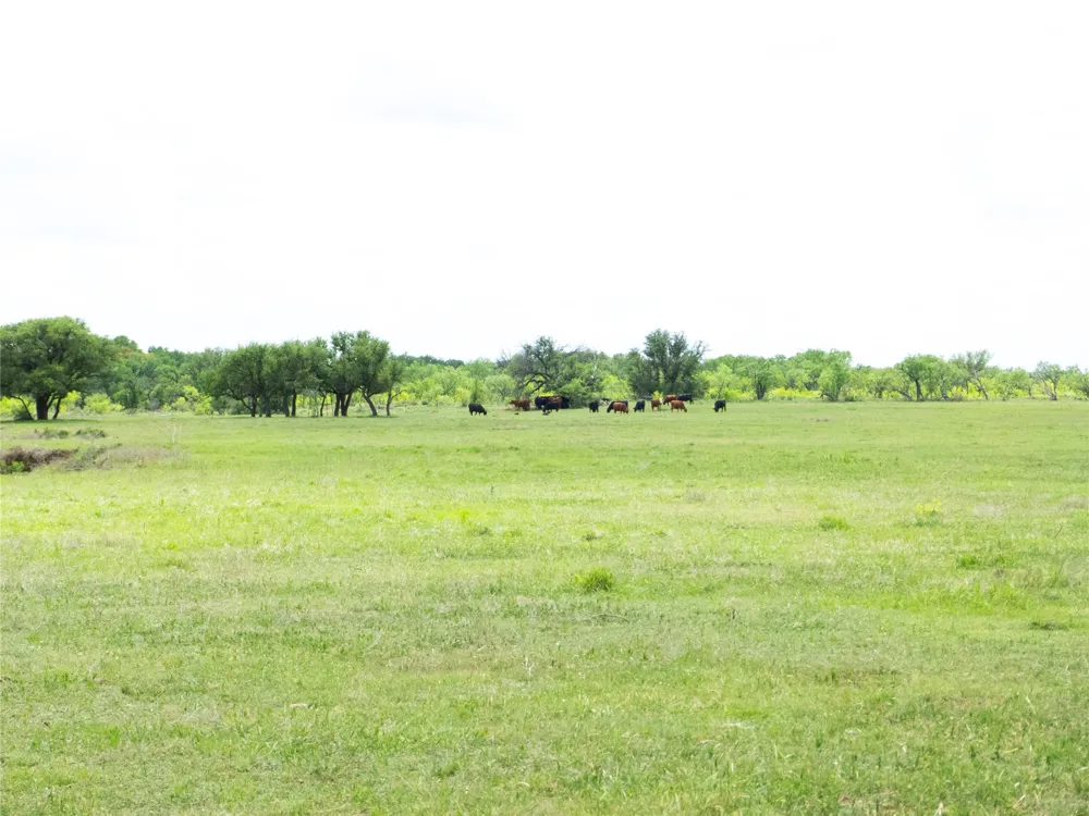 6500 Fm 586 Bangs, TX 76823