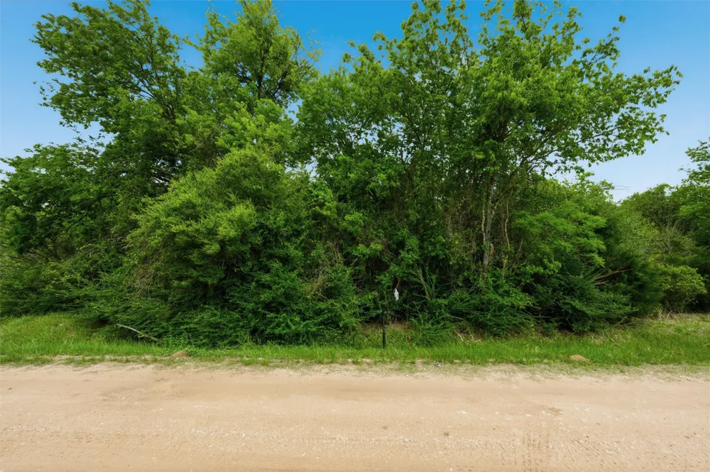 Melondale Drive Elm Mott, TX 76640