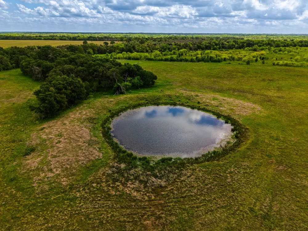 TX-14 Groesbeck, TX 76642