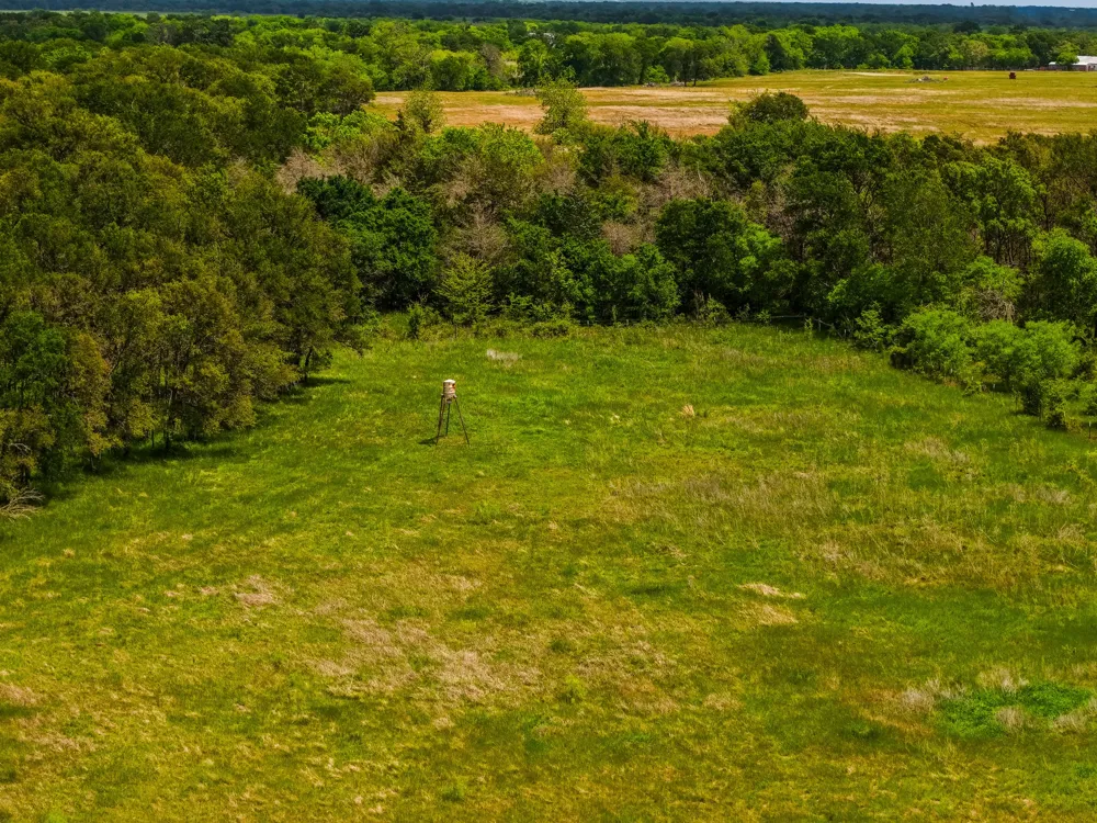 TX-14 Groesbeck, TX 76642