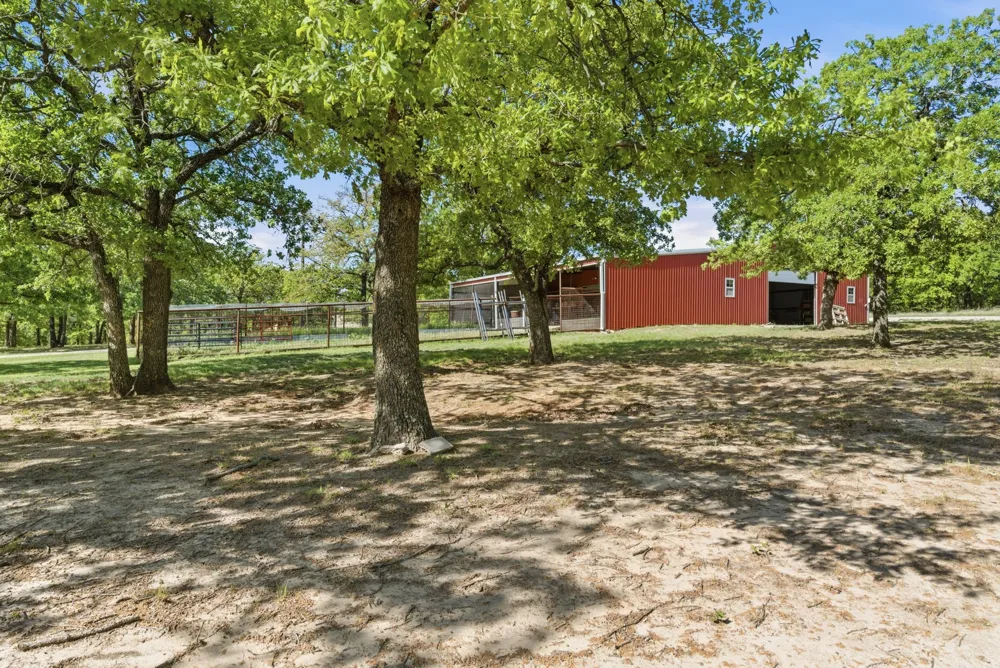 2197 Netherly Lane Forestburg, TX 76239