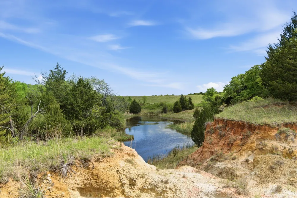 2197 Netherly Lane Forestburg, TX 76239