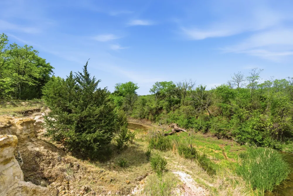 2197 Netherly Lane Forestburg, TX 76239