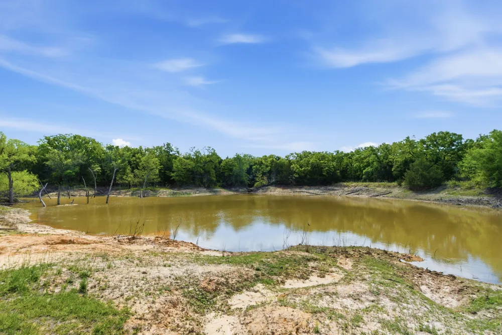 2197 Netherly Lane Forestburg, TX 76239