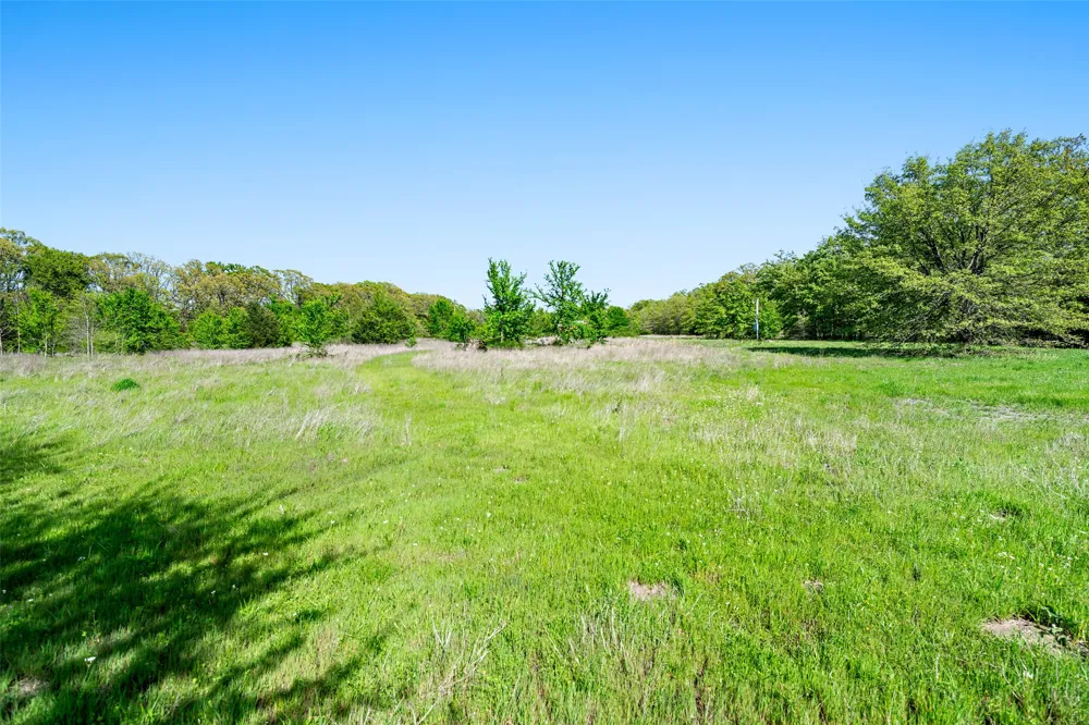 320 Fm 897 Telephone, TX 75488