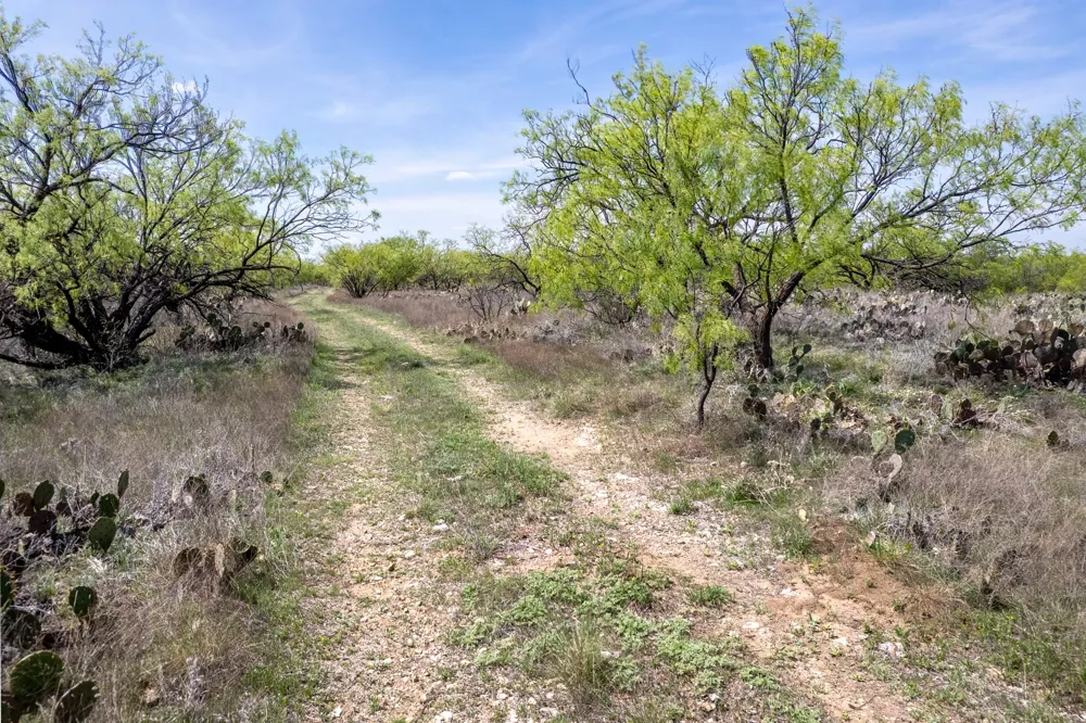 County Road 464 Coleman, TX 76834