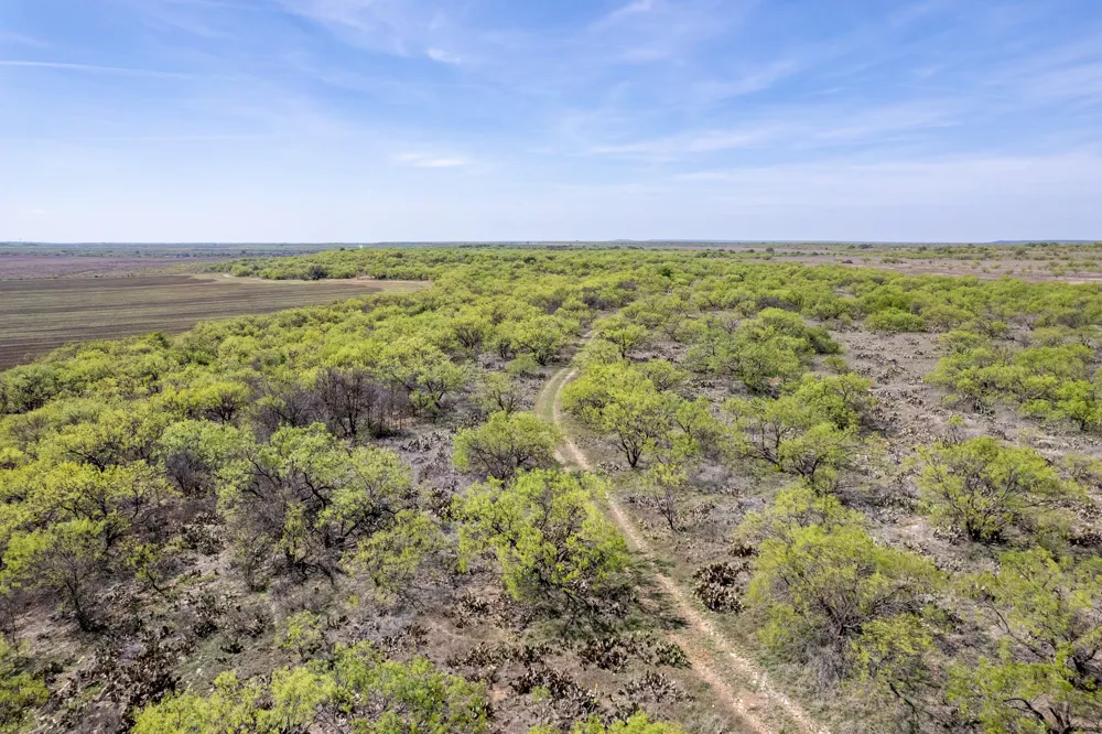 County Road 464 Coleman, TX 76834