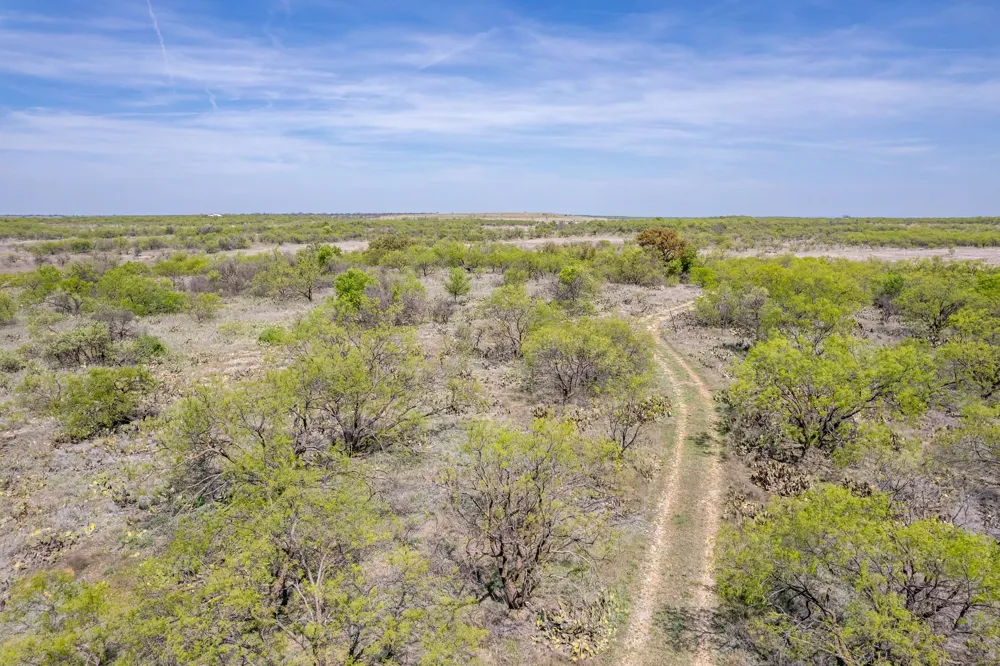 County Road 464 Coleman, TX 76834