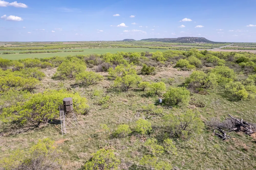 HWY 84 Santa Anna, TX 76878