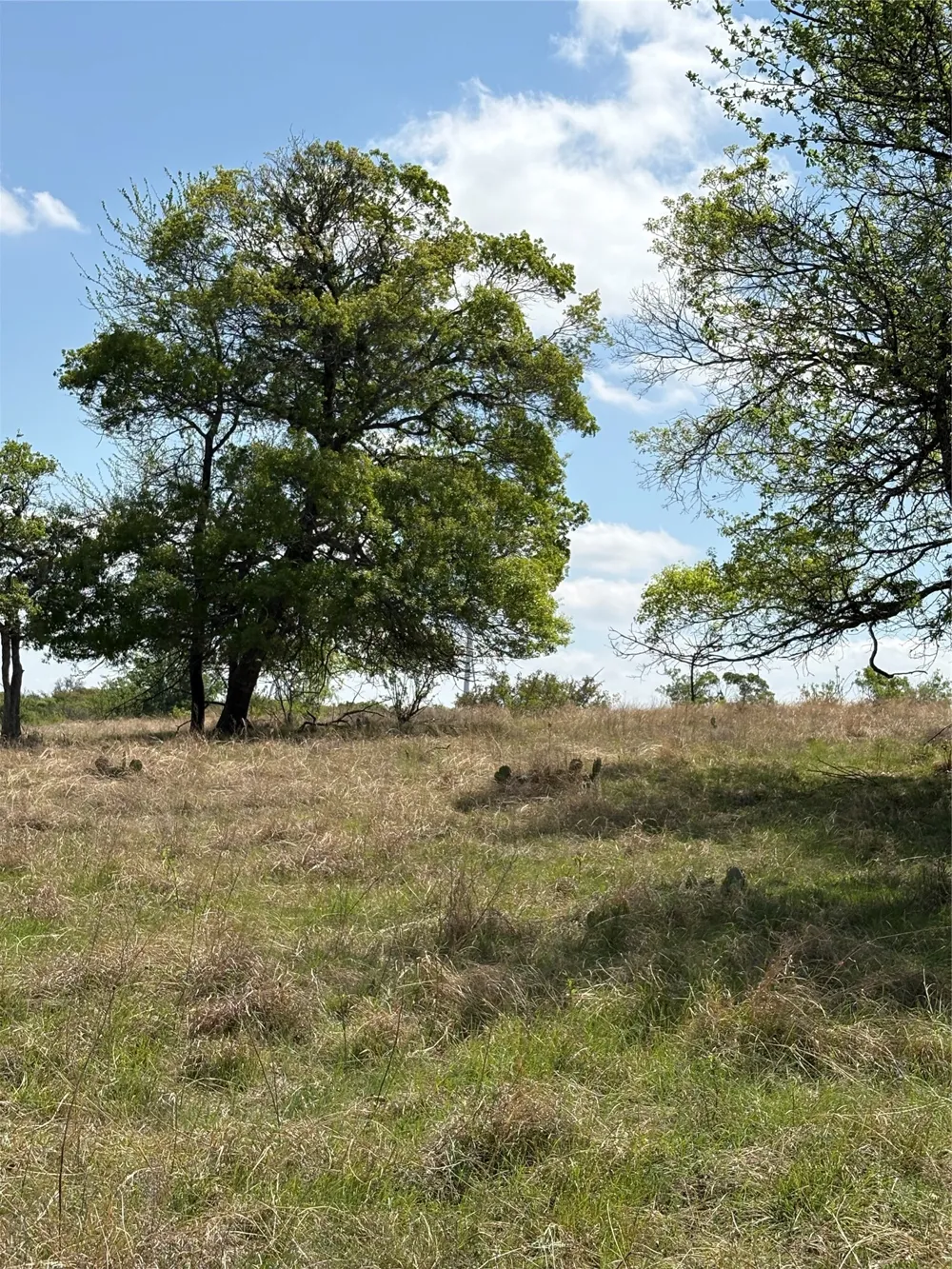 520 SH 16 N Goldthwaite, TX 76844