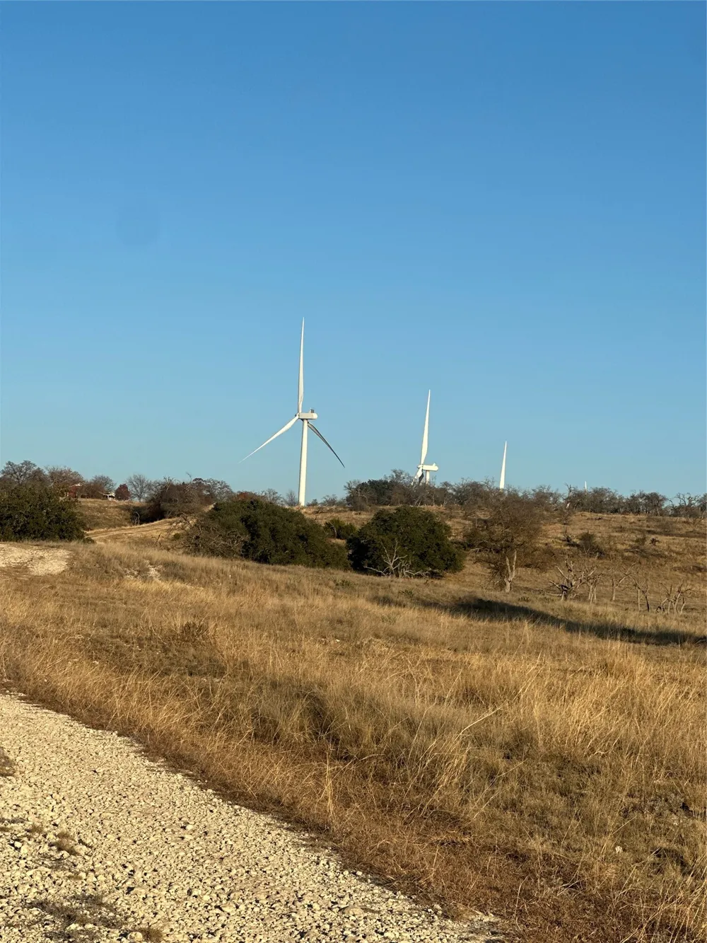 520 SH 16 N Goldthwaite, TX 76844