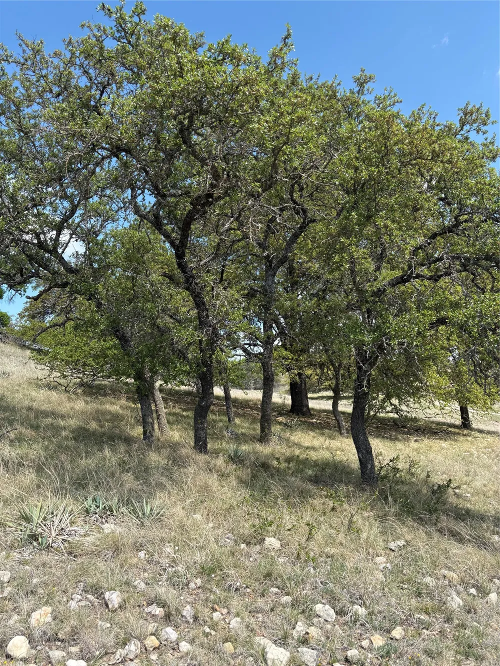 520 SH 16 N Goldthwaite, TX 76844