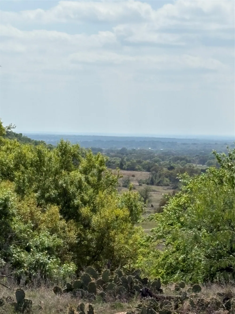 520 SH 16 N Goldthwaite, TX 76844