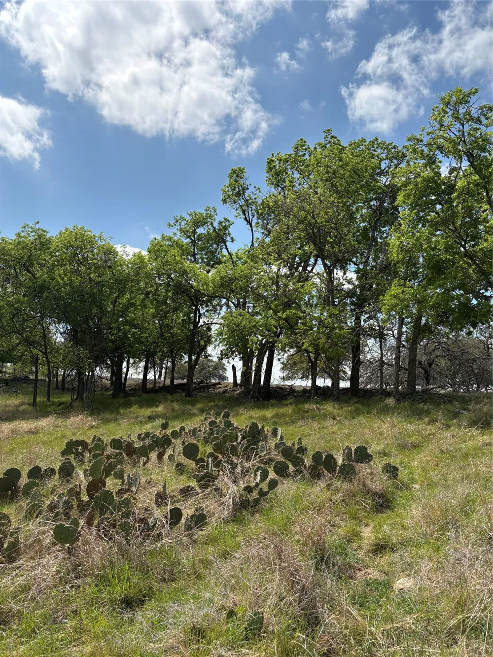 520 SH 16 N Goldthwaite, TX 76844