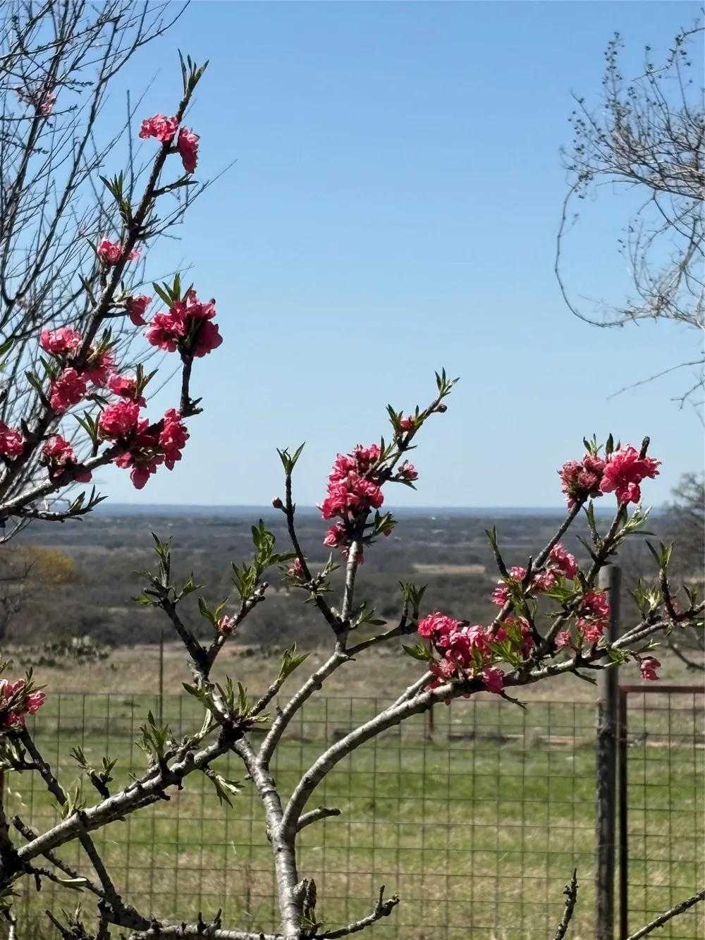 520 SH 16 N Goldthwaite, TX 76844
