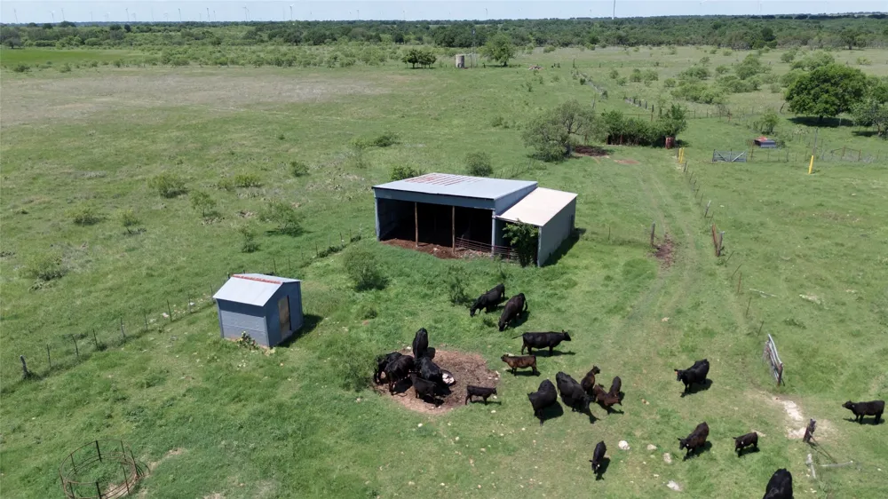 520 SH 16 N Goldthwaite, TX 76844