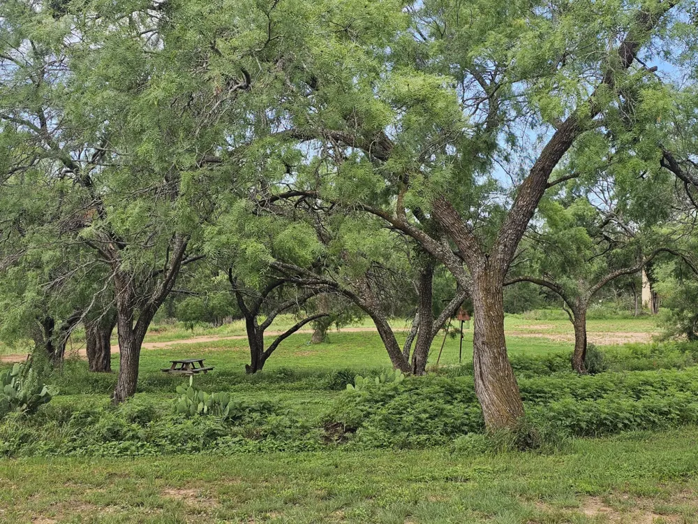 441 CR 433 Mullin, TX 76864