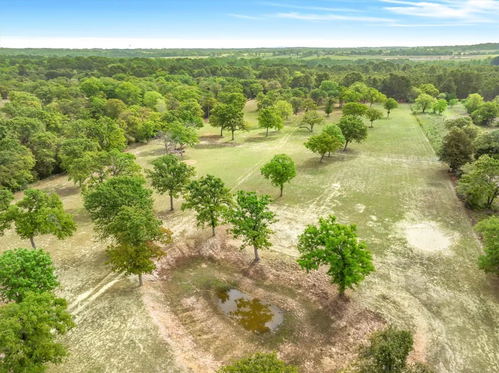 7700 County Road 3700 Athens, TX 75752
