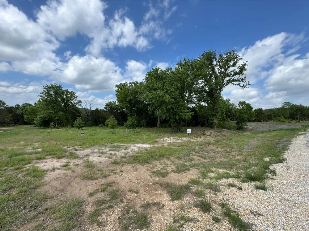 1017 Cedar Hill Drive Nemo, TX 76070