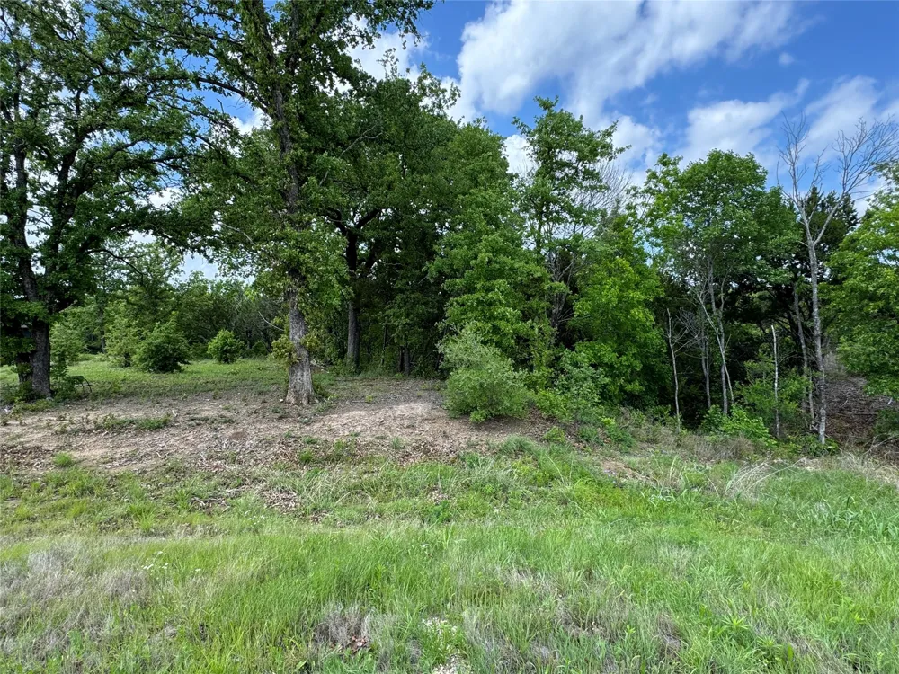 1017 Cedar Hill Drive Nemo, TX 76070