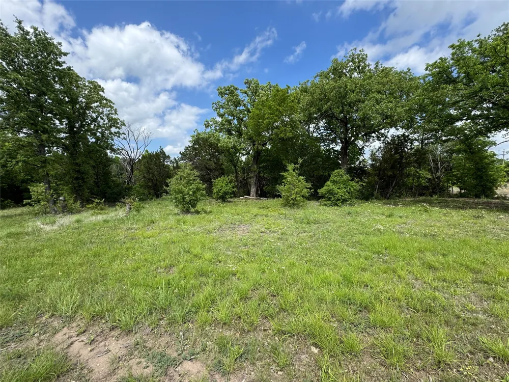 1017 Cedar Hill Drive Nemo, TX 76070