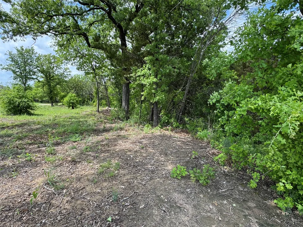 1017 Cedar Hill Drive Nemo, TX 76070